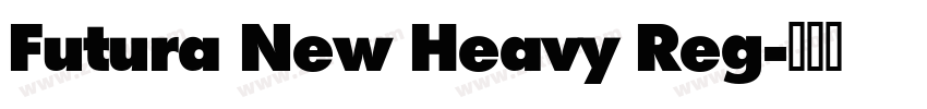 Futura New Heavy Reg字体转换